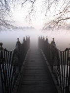 Fog and Bridge